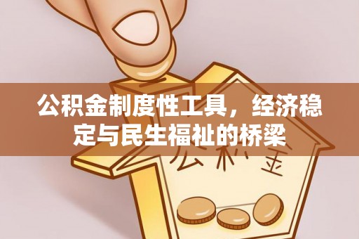 洮北公积金制度性工具，经济稳定与民生福祉的桥梁