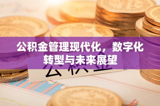 洮北公积金管理现代化，数字化转型与未来展望