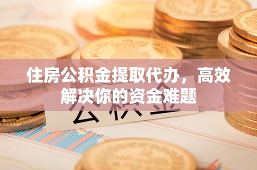 洮北住房公积金提取代办，高效解决你的资金难题
