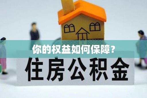 洮北你的权益如何保障？